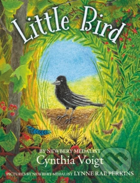 Kniha: Little Bird (Cynthia Voigt). Greenwillow Books, 2021 Kniha: Little Bird (Cynthia Voigt). Greenwillow Books, 2021