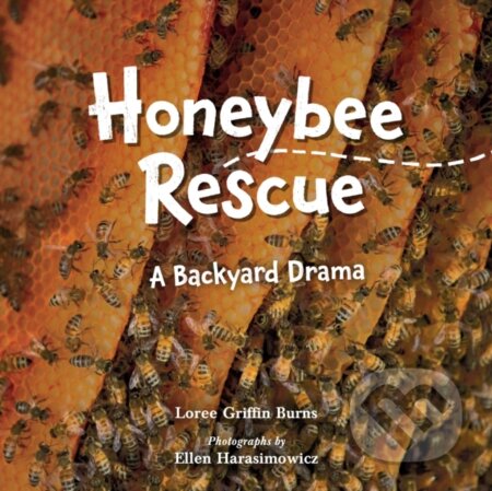 Kniha: Honeybee Rescue (Ellen Harasimowicz a Loree Griffin Burns). , 2022 Kniha: Honeybee Rescue (Ellen Harasimowicz a Loree Griffin Burns). , 2022