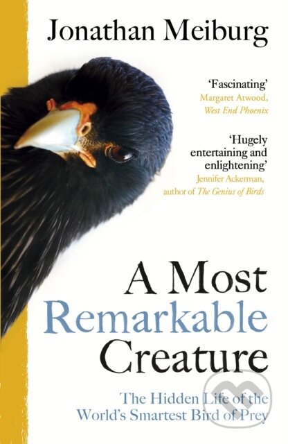 Kniha: A Most Remarkable Creature (Jonathan Meiburg). Vintage, 2022 Kniha: A Most Remarkable Creature (Jonathan Meiburg). Vintage, 2022