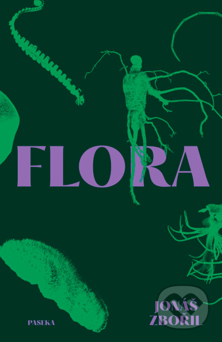 E-kniha: Flora (Jonáš Zbořil). Paseka, 2025 E-kniha: Flora (Jonáš Zbořil). Paseka, 2025