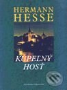 Kniha: Kúpeľný hosť (Hermann Hesse). Slovenský spisovateľ, 1999 Kniha: Kúpeľný hosť (Hermann Hesse). Slovenský spisovateľ, 1999