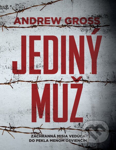 Kniha: Jediný muž (Andrew Gross). Plus, 2018 Kniha: Jediný muž (Andrew Gross). Plus, 2018