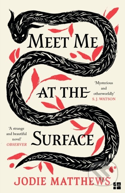 Kniha: Meet Me at the Surface (Jodie Matthews). HarperCollins Publishers, 2025 Kniha: Meet Me at the Surface (Jodie Matthews). HarperCollins Publishers, 2025