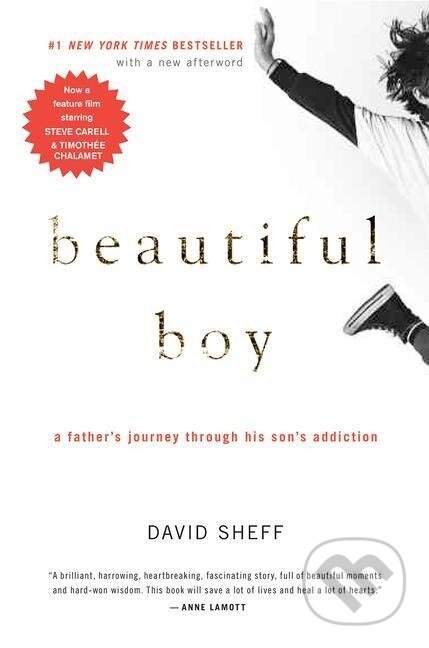 Kniha: Beautiful Boy: A Father's Journey Through His Son's Addiction (David Sheff). Houghton Mifflin, 2009 Kniha: Beautiful Boy: A Father's Journey Through His Son's Addiction (David Sheff). Houghton Mifflin, 2009