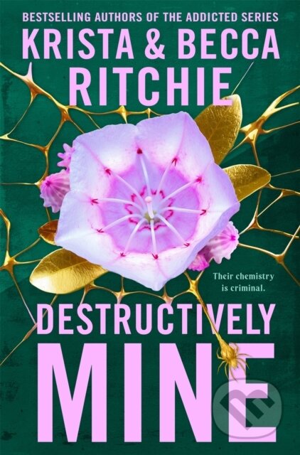 Kniha: Destructively Mine (Krista Ritchie). Pan Macmillan, 2025 Kniha: Destructively Mine (Krista Ritchie). Pan Macmillan, 2025