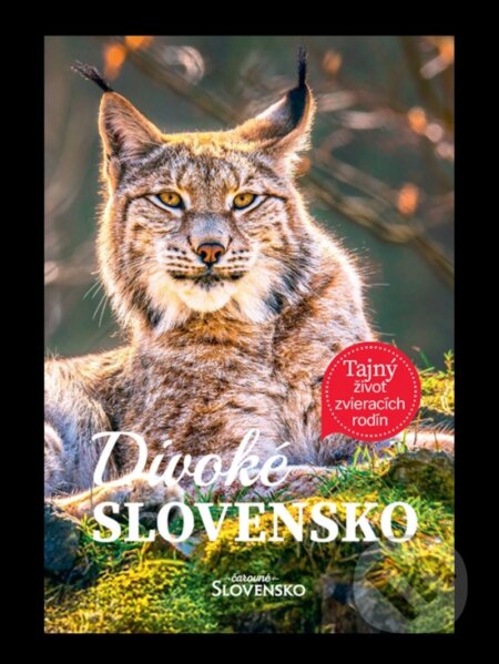 Kniha: Divoké Slovensko (MAFRA Slovakia). MAFRA Slovakia, 2025 Kniha: Divoké Slovensko (MAFRA Slovakia). MAFRA Slovakia, 2025