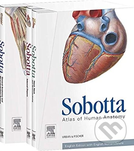 Kniha: Sobotta Atlas of Human Anatomy (3 Volume Set) (Friedrich Paulsen, Jens Waschke a kolektív). Urban und Fische, 2013 Kniha: Sobotta Atlas of Human Anatomy (3 Volume Set) (Friedrich Paulsen, Jens Waschke a kolektív). Urban und Fische, 2013