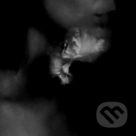 Hudobné CD: Holding Absence: Holding Absence (Bertus). Bertus, 2019 Hudobné CD: Holding Absence: Holding Absence (Bertus). Bertus, 2019