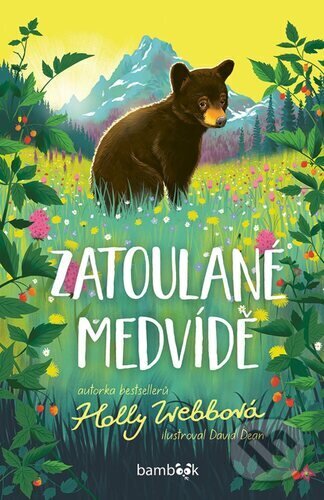 Kniha: Zatoulané medvídě (Holly Webb). Bambook, 2025 Kniha: Zatoulané medvídě (Holly Webb). Bambook, 2025