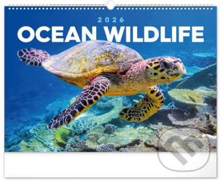 NOTIQUE Nástěnný kalendář Ocean wildlife (Podmořský svět) 2026 (Notique). Notique, 2025 NOTIQUE Nástěnný kalendář Ocean wildlife (Podmořský svět) 2026 (Notique). Notique, 2025
