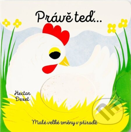 Kniha: Právě teď… (Hector Dexet). Svojtka&Co., 2025 Kniha: Právě teď… (Hector Dexet). Svojtka&Co., 2025