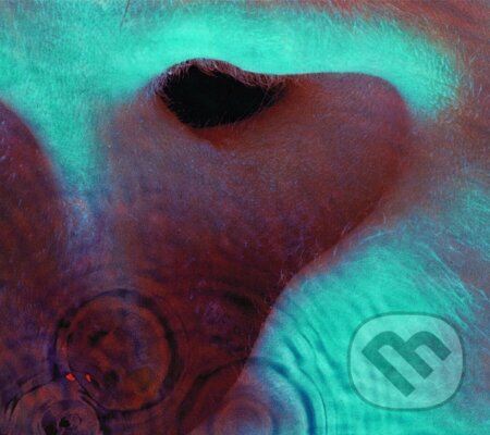 Hudební CD: Pink Floyd: Meddle (Sony Music Entertainment). Sony Music Entertainment, 2025 Hudební CD: Pink Floyd: Meddle (Sony Music Entertainment). Sony Music Entertainment, 2025