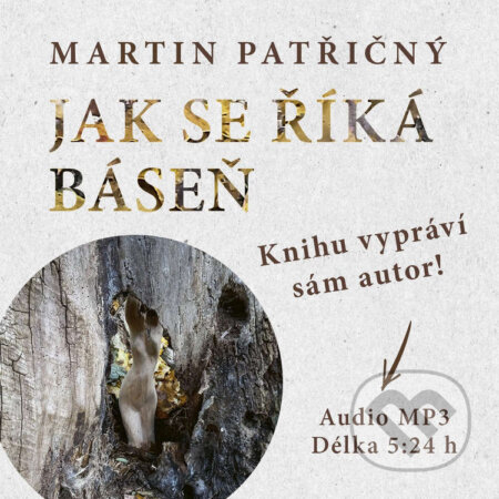 Audiokniha: Jak se říká báseň (Martin Patřičný). Jonathan Livingston, 2025 Audiokniha: Jak se říká báseň (Martin Patřičný). Jonathan Livingston, 2025