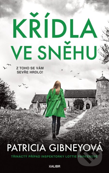 Kniha: Křídla ve sněhu (Patricia Gibney). Kalibr, 2026 Kniha: Křídla ve sněhu (Patricia Gibney). Kalibr, 2026