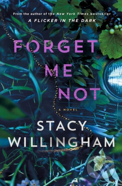 Kniha: Forget Me Not (Stacy Willingham). Minotaur Books, 2025 Kniha: Forget Me Not (Stacy Willingham). Minotaur Books, 2025