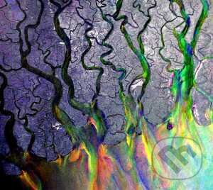 Hudební CD: Alt-J: An Awesome Wave (Universal Music). Universal Music, 2022 Hudební CD: Alt-J: An Awesome Wave (Universal Music). Universal Music, 2022