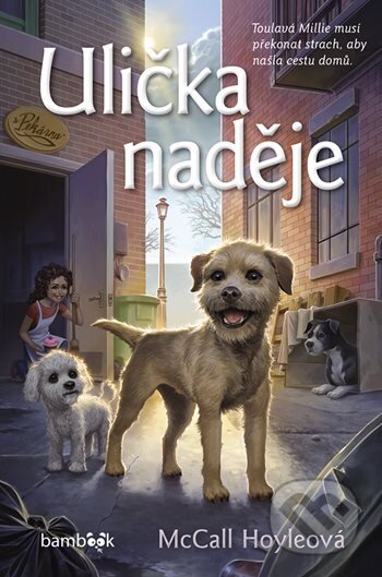 Kniha: Ulička naděje (McCall Hoyle). Bambook, 2025 Kniha: Ulička naděje (McCall Hoyle). Bambook, 2025