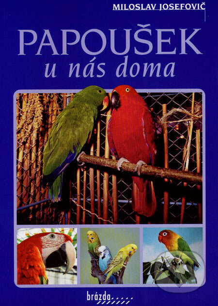 Kniha: Papoušek u nás doma (Miloslav Josefovič). Brázda, 2007 Kniha: Papoušek u nás doma (Miloslav Josefovič). Brázda, 2007