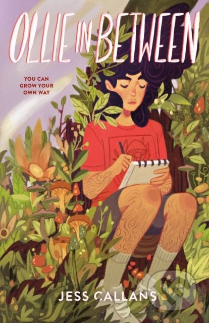 Kniha: Ollie In Between (Jess Callans). Feiwel and Friends, 2025 Kniha: Ollie In Between (Jess Callans). Feiwel and Friends, 2025