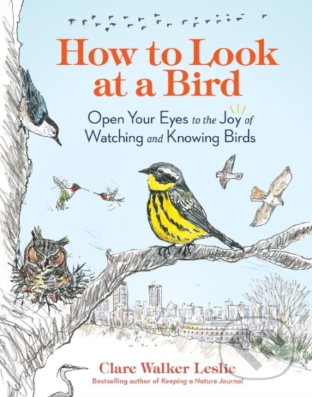 Kniha: How to Look at a Bird (Clare Walker Leslie). Storey Publishing, 2024 Kniha: How to Look at a Bird (Clare Walker Leslie). Storey Publishing, 2024