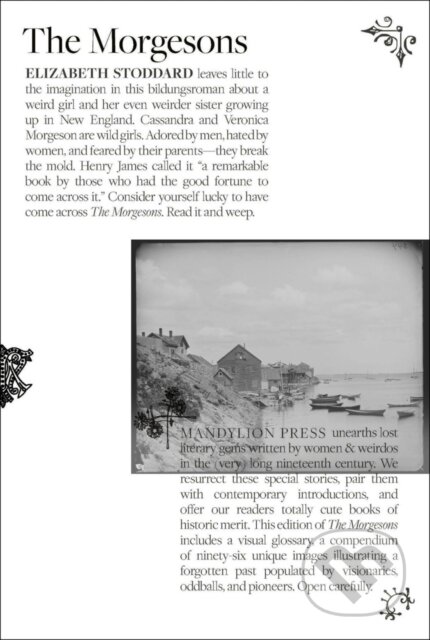 Kniha: Morgesons, the (Stoddard a Elizabeth). , 2025 Kniha: Morgesons, the (Stoddard a Elizabeth). , 2025