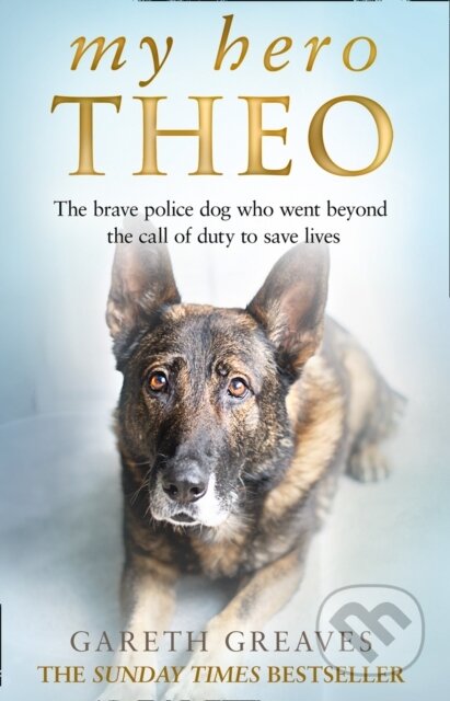 Kniha: My Hero Theo (Gareth Greaves). HarperCollins, 2021 Kniha: My Hero Theo (Gareth Greaves). HarperCollins, 2021