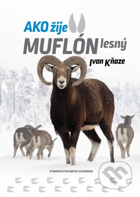 Kniha: Ako žije muflón lesný (Ivan Kňaze). Vydavateľstvo Matice slovenskej, 2025 Kniha: Ako žije muflón lesný (Ivan Kňaze). Vydavateľstvo Matice slovenskej, 2025