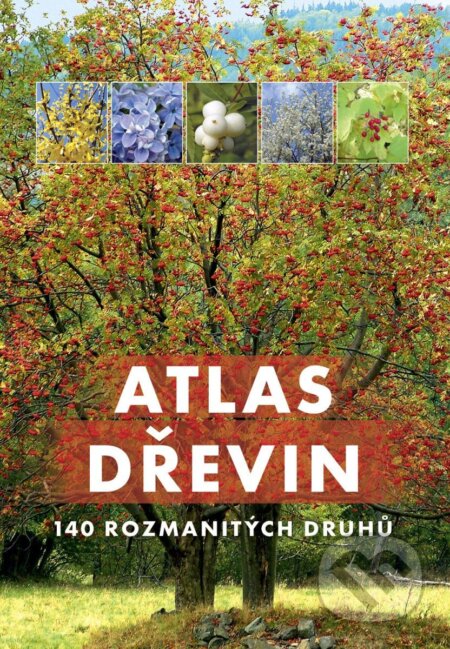 Kniha: Atlas dřevin (Aleksandra Halarewicz). Bookmedia, 2026 Kniha: Atlas dřevin (Aleksandra Halarewicz). Bookmedia, 2026