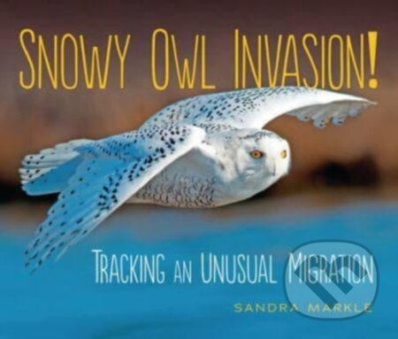 Kniha: Snowy Owl Invasion! (Sandra Markle). Lerner Publishing Group, 2022 Kniha: Snowy Owl Invasion! (Sandra Markle). Lerner Publishing Group, 2022