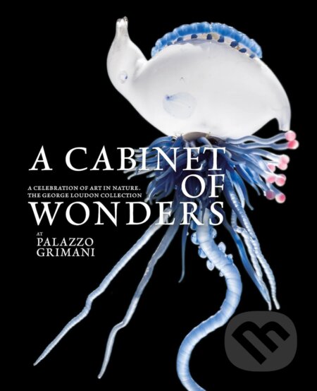 Kniha: A Cabinet of Wonders (Dr Thierry Morel Ge). Fontanka, 2025 Kniha: A Cabinet of Wonders (Dr Thierry Morel Ge). Fontanka, 2025