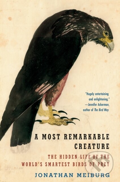 Kniha: Most Remarkable Creature (Jonathan Meiburg). , 2022 Kniha: Most Remarkable Creature (Jonathan Meiburg). , 2022