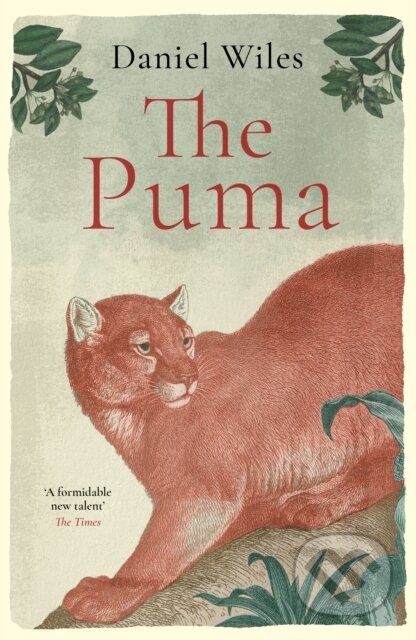 Kniha: The Puma (Daniel Wiles). Swift Press, 2026 Kniha: The Puma (Daniel Wiles). Swift Press, 2026
