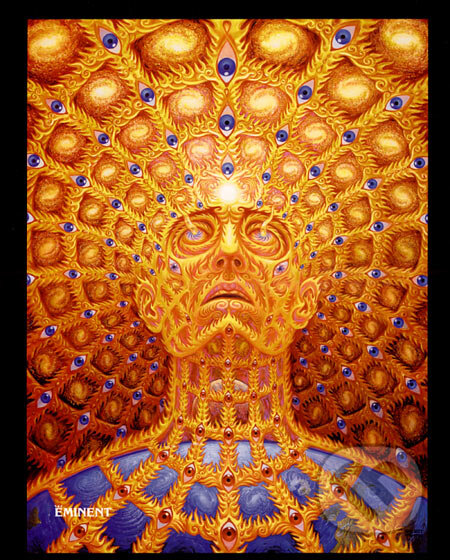Kniha: Transfigurace (Alex Grey). Eminent, 2006 Kniha: Transfigurace (Alex Grey). Eminent, 2006