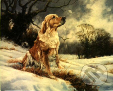 Golden Retriever In The Snow, Crown & Andrews