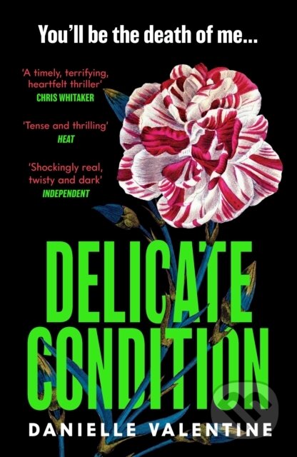 Kniha: Delicate Condition (Danielle Valentine). Viper, 2024 Kniha: Delicate Condition (Danielle Valentine). Viper, 2024