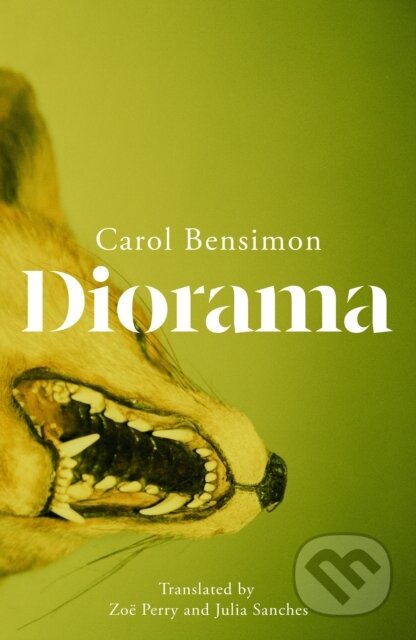 Kniha: Diorama (Carol Bensimon). MacLehose Press, 2026 Kniha: Diorama (Carol Bensimon). MacLehose Press, 2026
