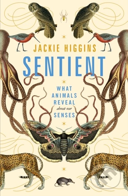 Kniha: Sentient (Jackie Higgins). Picador, 2021 Kniha: Sentient (Jackie Higgins). Picador, 2021