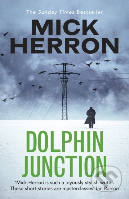 Kniha: Dolphin Junction (Mick Herron). Baskerville, 2022 Kniha: Dolphin Junction (Mick Herron). Baskerville, 2022