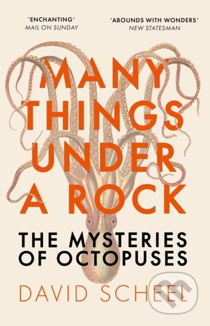 Kniha: Many Things Under a Rock (David Scheel). Hodder and Stoughton, 2024 Kniha: Many Things Under a Rock (David Scheel). Hodder and Stoughton, 2024