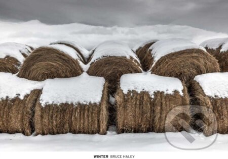 Kniha: Winter (). , 2024 Kniha: Winter (). , 2024