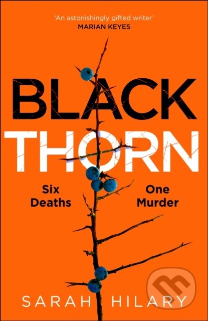 Kniha: Black Thorn (Sarah Hilary). MacMillan, 2023 Kniha: Black Thorn (Sarah Hilary). MacMillan, 2023