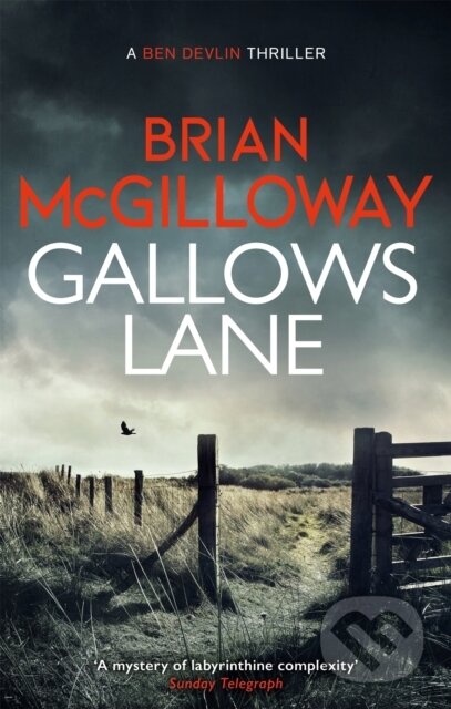 Kniha: Gallows Lane (Brian Mcgilloway). Constable, 2021 Kniha: Gallows Lane (Brian Mcgilloway). Constable, 2021