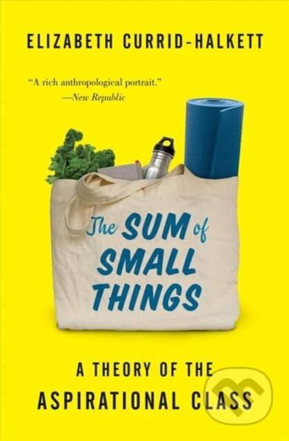 Kniha: The Sum of Small Things (Elizabeth Currid-Halkett). Princeton University Press, 2018 Kniha: The Sum of Small Things (Elizabeth Currid-Halkett). Princeton University Press, 2018