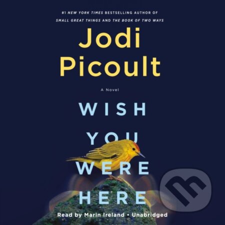 Kniha: Wish You Were Here (Jodi Picoult). , 1900 Kniha: Wish You Were Here (Jodi Picoult). , 1900
