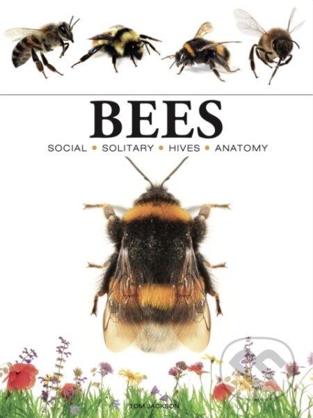 Kniha: Bees (Tom Jackson). , 2024 Kniha: Bees (Tom Jackson). , 2024