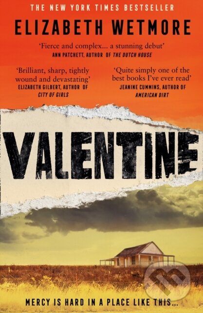 Kniha: Valentine (Elizabeth Wetmore). Fourth Estate, 2021 Kniha: Valentine (Elizabeth Wetmore). Fourth Estate, 2021