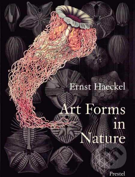 Kniha: Art Forms in Nature (Ernst Haeckel). Prestel, 1998 Kniha: Art Forms in Nature (Ernst Haeckel). Prestel, 1998