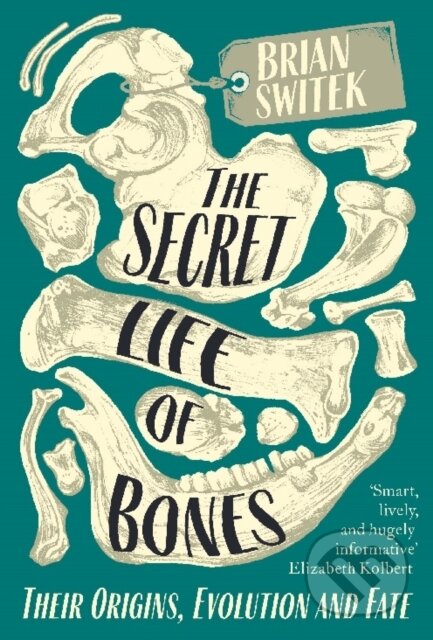 Kniha: The Secret Life of Bones (Brian Switek). Duckworth Overlook, 2019 Kniha: The Secret Life of Bones (Brian Switek). Duckworth Overlook, 2019