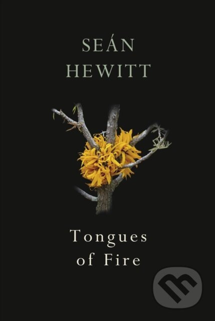 Kniha: Tongues of Fire (Sean Hewitt). Jonathan Cape, 2020 Kniha: Tongues of Fire (Sean Hewitt). Jonathan Cape, 2020