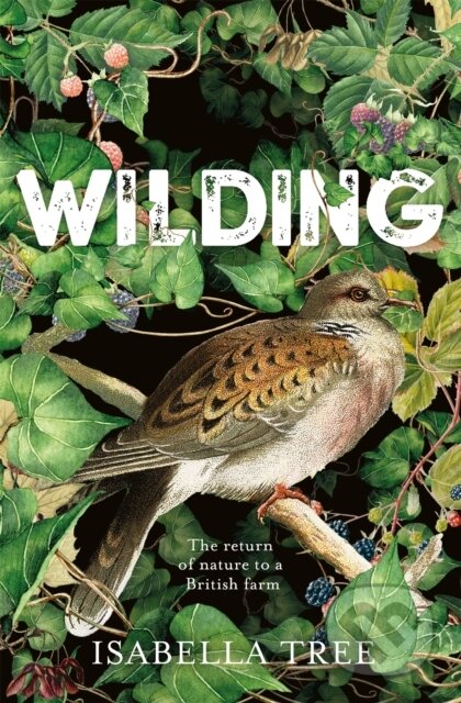 Kniha: Wilding (Isabella Tree). Picador, 2018 Kniha: Wilding (Isabella Tree). Picador, 2018